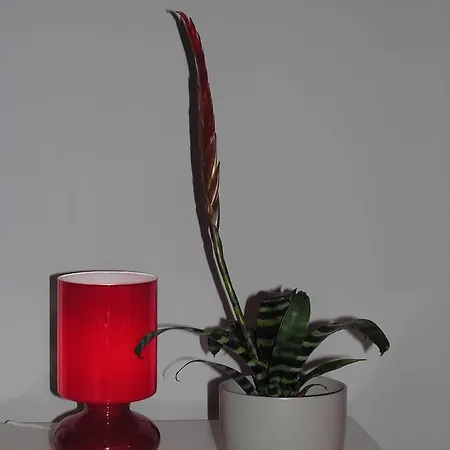 Апартаменты Amaryllis