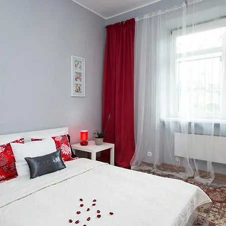 Amaryllis * Cracovie