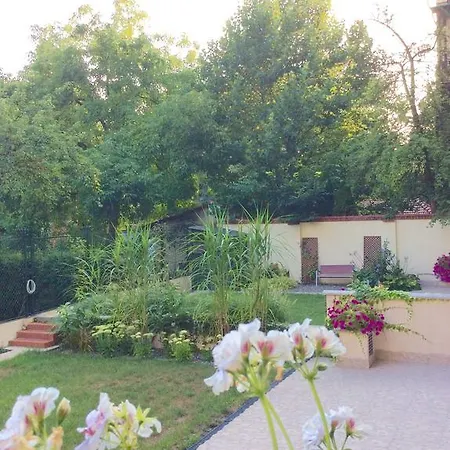 Apartment Amaryllis *